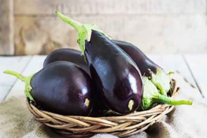 Eggplant benefits for skin and male and Eggplant protein 