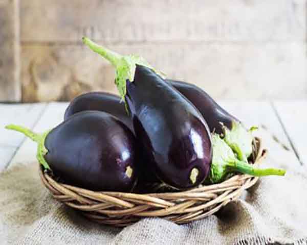  eggplant benefits for skin eggplant benefits for males eggplant benefits for females eggplant benefits and side effects eggplant side effects eggplant uses and benefits eggplant protein eggplant vitamins