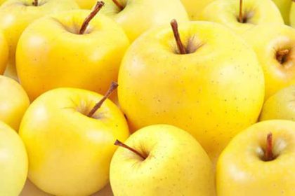 apple benefits for skin and brain and liver and Apple vitamins 