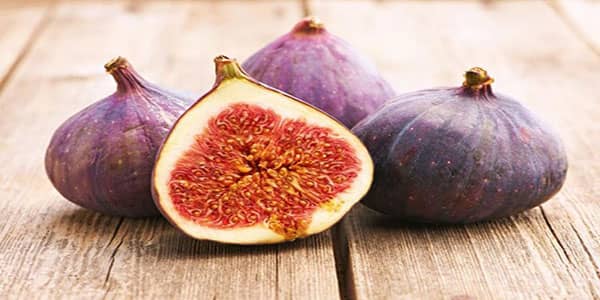 Benefits of fig for male and female for sperm for kidney