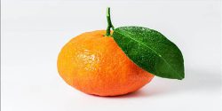 Benefits of tangerine for weight loss for skin and hair