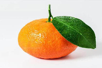 Benefits of tangerine for weight loss for skin and hair