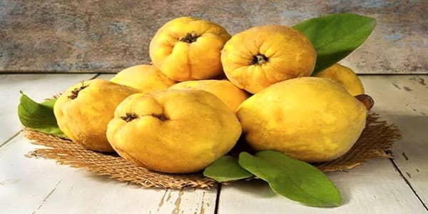 Quince benefits for males and females and hair and skin and pregnancy