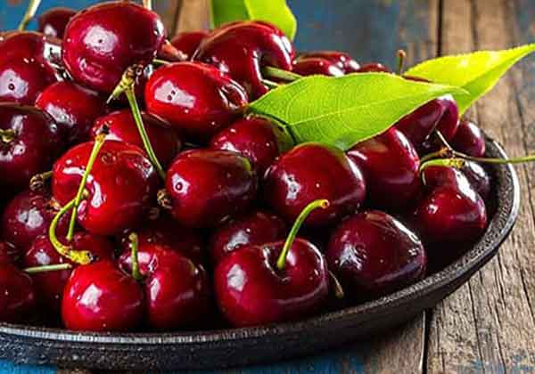 
cherry benefits for skin
cherry benefits for females
cherry benefits and side effects
10 health benefits of cherries
cherry benefits for blood
cherry benefits for males
what are 5 health benefits of cherries
cherries before bed