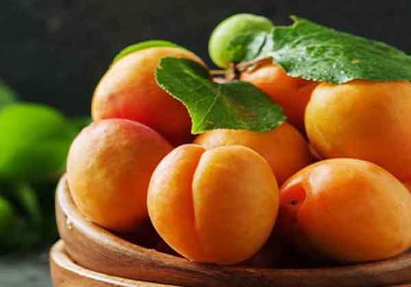  dry apricot benefits for female dry apricot benefits for male apricot benefits for skin apricot side effects dry apricot benefits for skin dried apricots benefits and side effects apricot benefits in pregnancy dried apricots soaked in water benefits