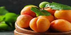 Apricot benefits in pregnancy for skin and hair and males