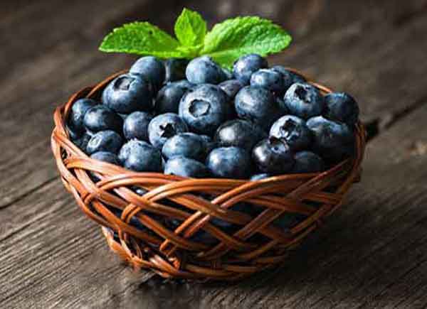 
blueberry benefits for male
Blueberry benefits and side effects
blueberries benefits for female
blueberry benefits for skin
blueberry benefits for stomach
blueberries benefits sexually
dried blueberry benefits and side effects
blueberries nutrition