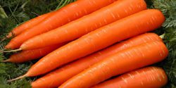 Benefits of eating carrots on empty stomach and for skin and hair