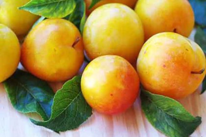 Plums benefit for diabetes and skin and weight loss and sexually