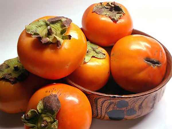 Persimmon benefits for females and males and hair and weight loss