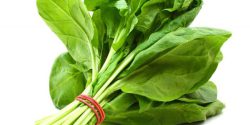 Spinach benefits for men and skin and women’s health and hair