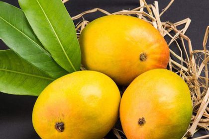 Mango benefits sexually and skin and men
