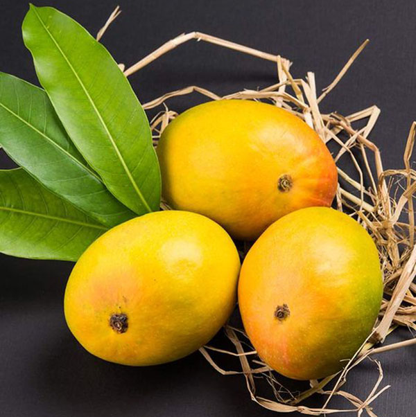 Mango benefits sexually and skin and men 