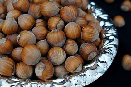 Hazelnut benefits for females and males and hair and skin and brain