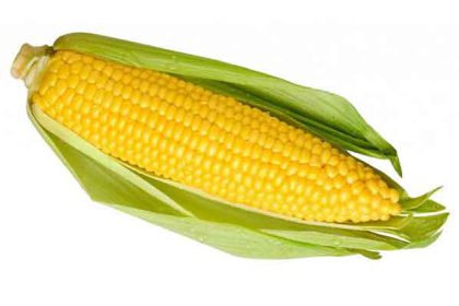 Maize benefits for weight loss and skin and males