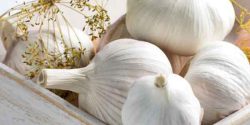 Garlic benefits for men’s and women’s sexually and skin