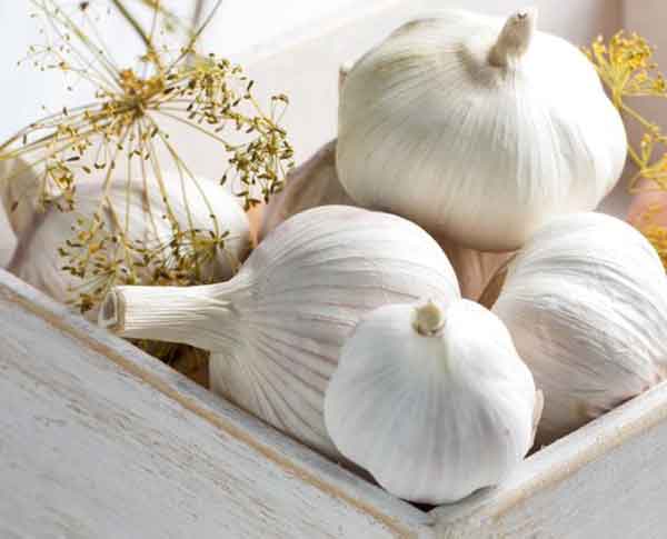Garlic benefits for men's and women's sexually and skin