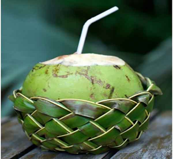 Green coconut benefits for male
Green coconut benefits for female
Green coconut benefits and side effects
green coconut water benefits
coconut water benefits for female
10 benefits of coconut
green coconut water calories
green coconut vs brown