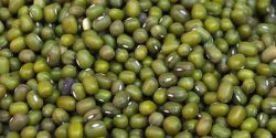 mung bean benefits for skin and hair and men and women