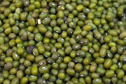 Mung bean benefits for skin and hair and men and women