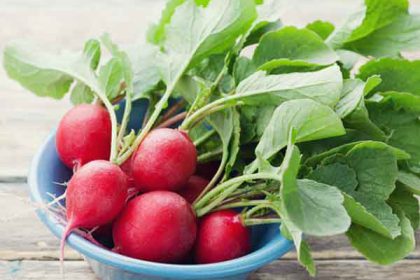 Radish benefits for skin and stomach and weight loss