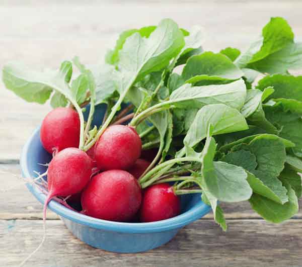 Radish benefits for skin and stomach and weight loss