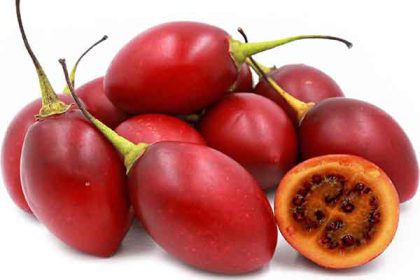 Tamarillo benefits and nutrition for skin and diabetes and gout