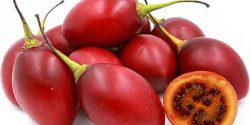 Benefits of tree tomato fruit for increased blood and pregnancy and sexually