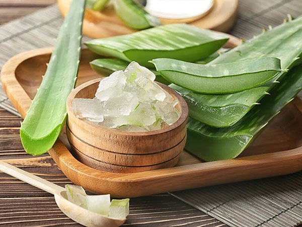 Aloe vera benefits for skin and men and hair and female