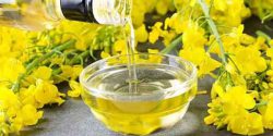 Canola benefits for skin and hair and weight loss