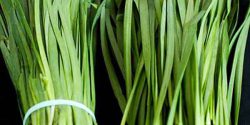 Chinese chives benefit for weight loss and skin and hair