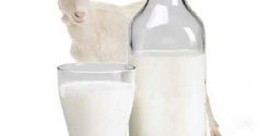 Goat milk benefits for skin and men and liver 