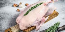 goose meat benefits for healthy and kin and hair