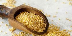 Millet benefits for weight loss and hair and skin 
