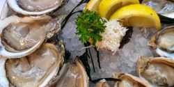 oysters benefit for hair and weight loss and stomach and skin 