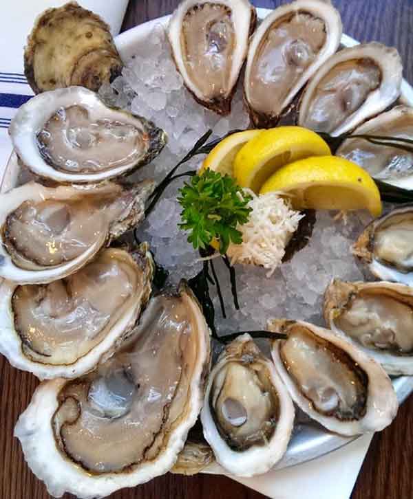 oysters benefit for hair and weight loss and stomach and skin