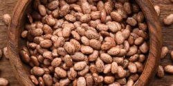 Pinto beans benefit for hair and skin and the recipe
