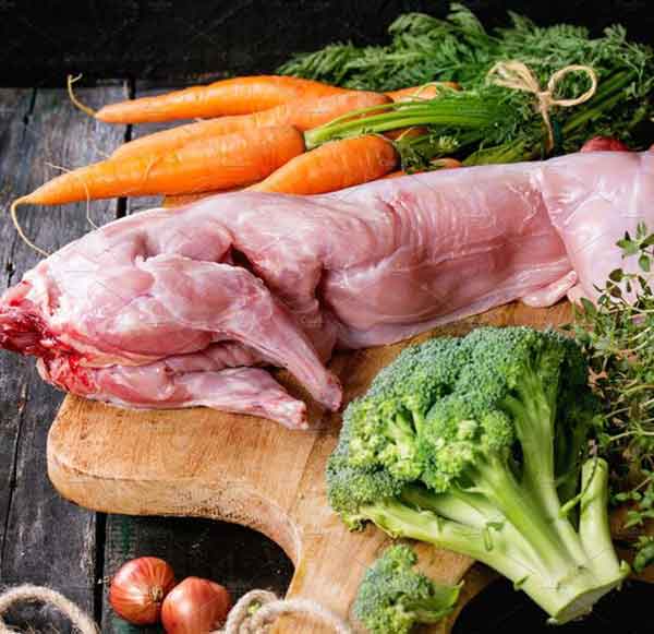 Rabbit meat benefits for cancer and human and heart