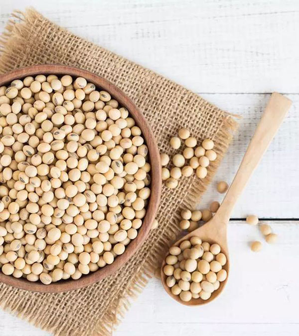 Soybean benefits for females and males and weight gain