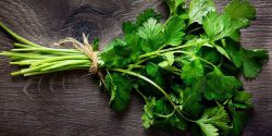 Benefits of coriander for liver and skin and hair and face