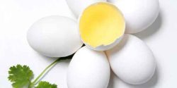 Egg benefits for men and weight gain and skin