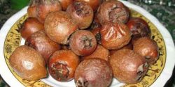 Medlar benefits for skin and health and hair and men