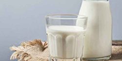 Benefits of milk to the brain and men and skin