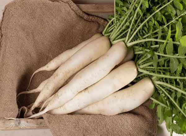 White radish benefits for liver and skin and weight loss