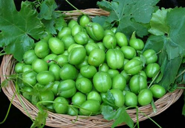 Greengage benefits for skin and weight loss and sexual