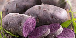 Purple potatoes benefit skin and weight loss and hair 