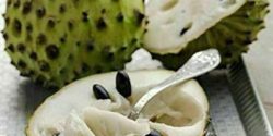 Soursop benefits for skin and pregnancy and hair and liver