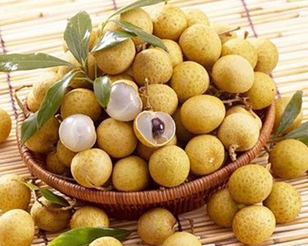 Longan fruit benefits for weight loss and kidney and skin
