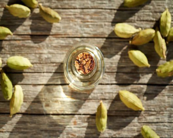 Cardamom oil benefits for skin and hair growth and face
