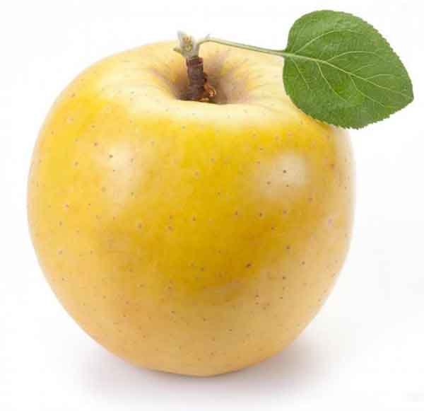  eating apple on empty stomach in morning benefits disadvantages of eating apple in empty stomach Eating 2 apples in the morning empty stomach weight Eating 2 apples in the morning empty stomach benefits eating apple in the morning on empty stomach worst time to eat apple best time to eat apple: morning or night eating apple on empty stomach during pregnancy